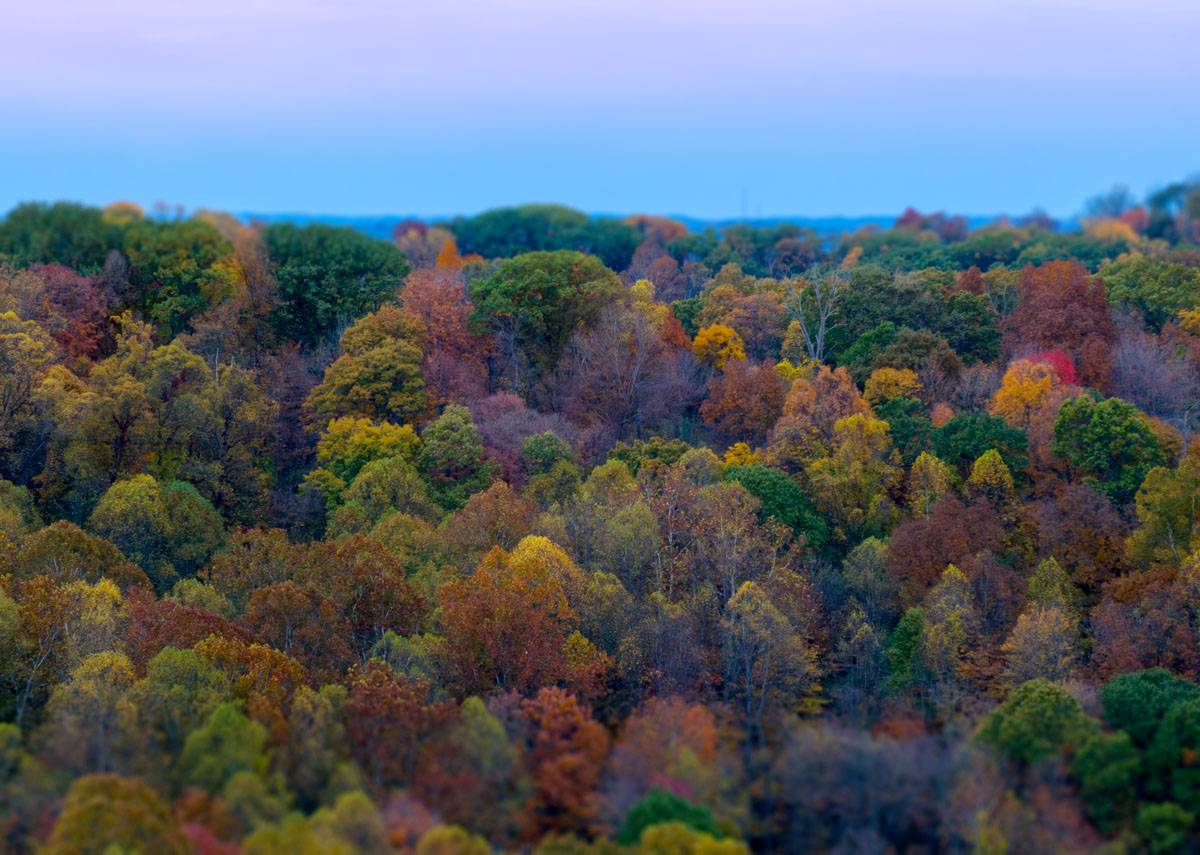 Fall colors at sunrise near Sells’ Park in Athens