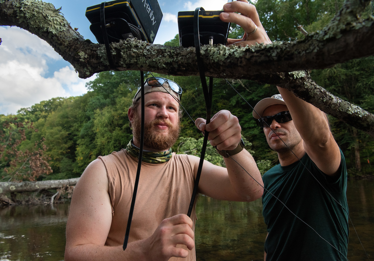 Student setting up a recording device on a branch near a river for research