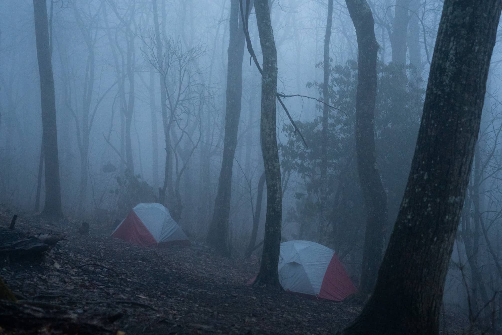 Ohio University tents stand tall in the rain during the fourth day backpacking a section of the Appalachian Trail in the Nantahala National Forest on Tuesday, March 8, 2022, at the Wayah Bald Shelter near Franklin, North Carolina.