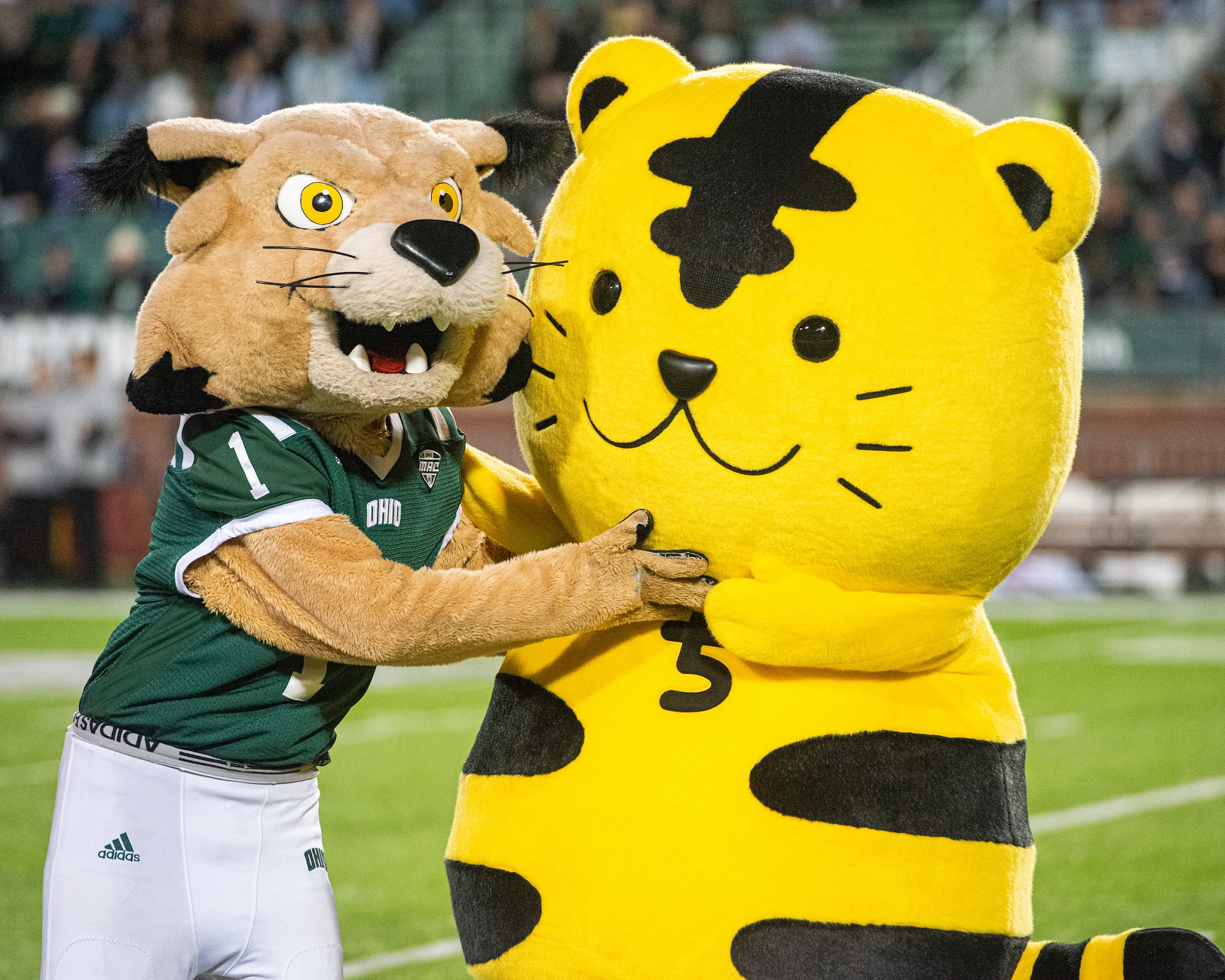 An image of the Ohio University and Chubu University mascots together at Peden Stadium