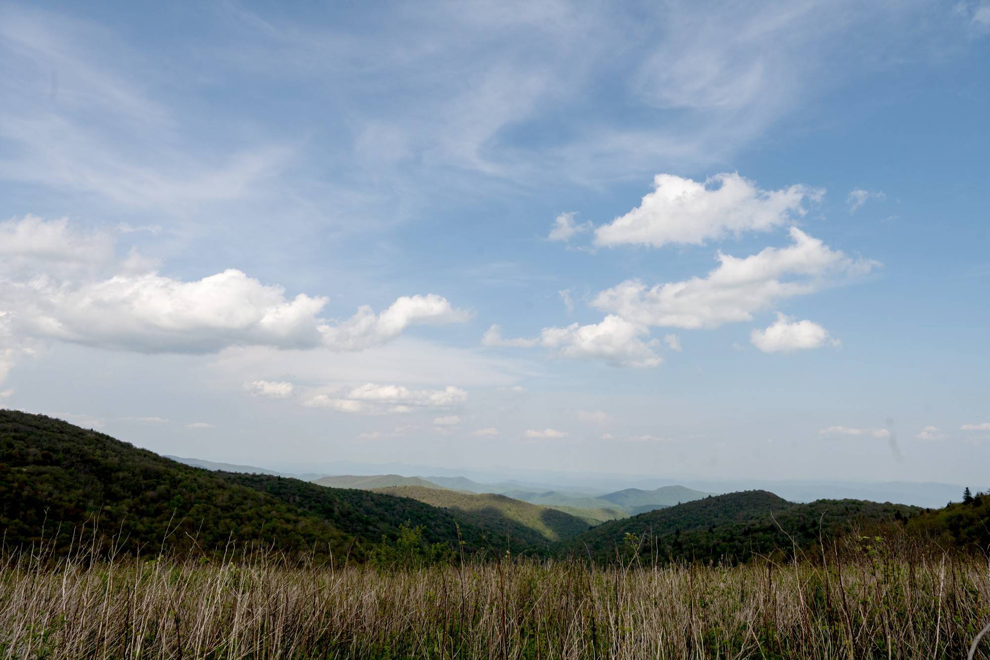 Pisgah National Forest is comprised of more than 500,000 acres and hundreds of miles of trails in western North Carolina.