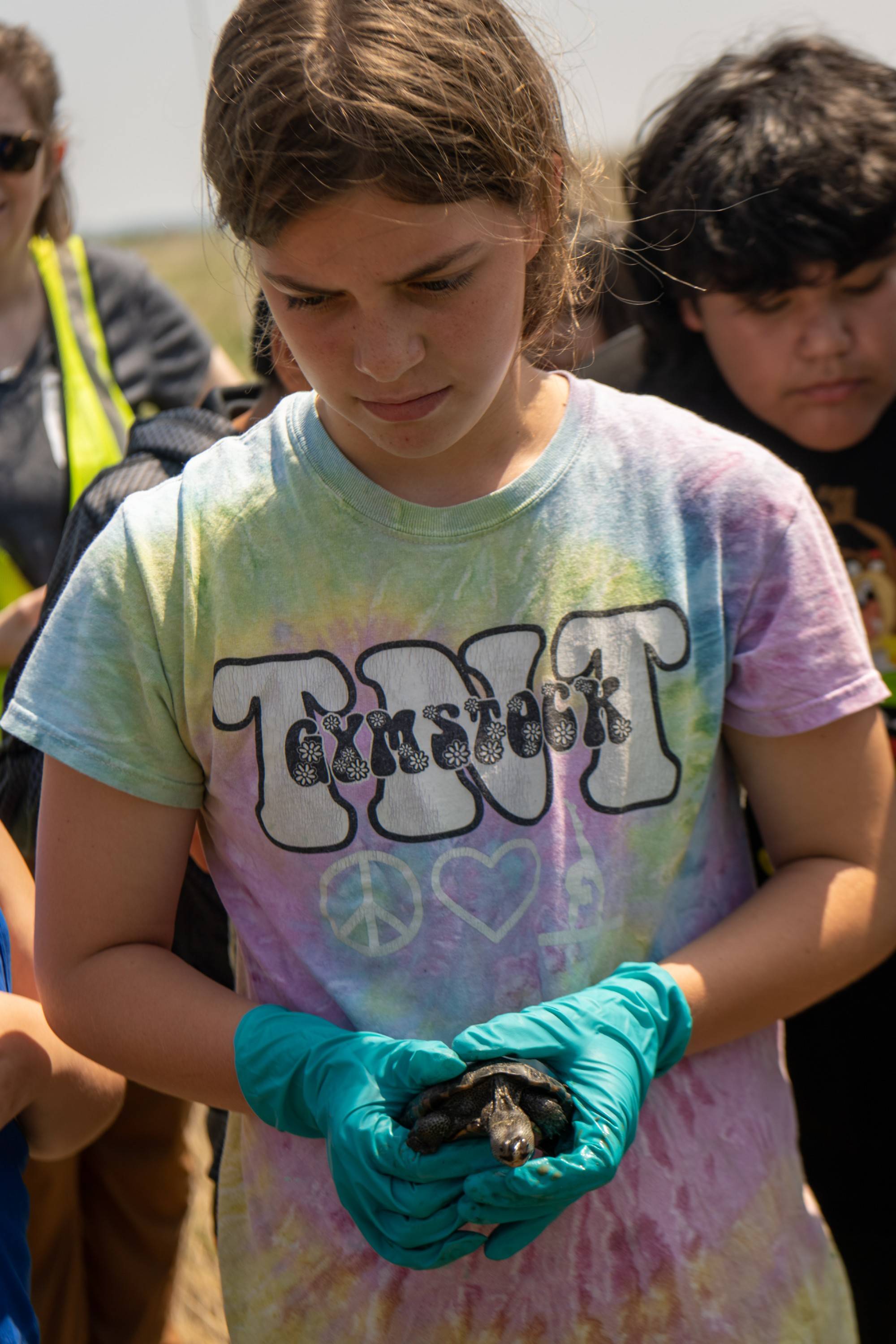 The turtles raised in classrooms grow to the size of 2-3 year old wild juvenile terrapins in just nine months under the care of K-12 students. Roosenberg and his students study the long term impacts of this on the turtle populations on Poplar Island.