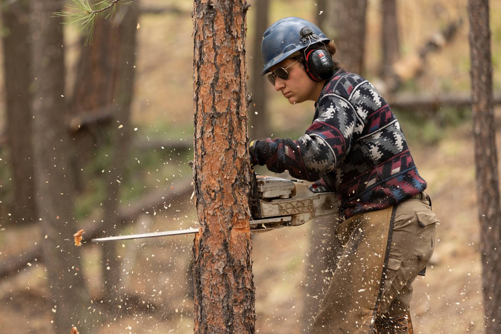 Jackie Rapport fells a tree as she trains a Conservation Crew member on felling trees at Cimarroncito Staff Camp at Philmont Scout Ranch in Cimarron, New Mexico, on June 2, 2022. Conservation staff members were trying to become certified sawyers, and they had picked up a chainsaw two days earlier. To become certified, the crew member has to pass a verbal test and physically fell a tree.