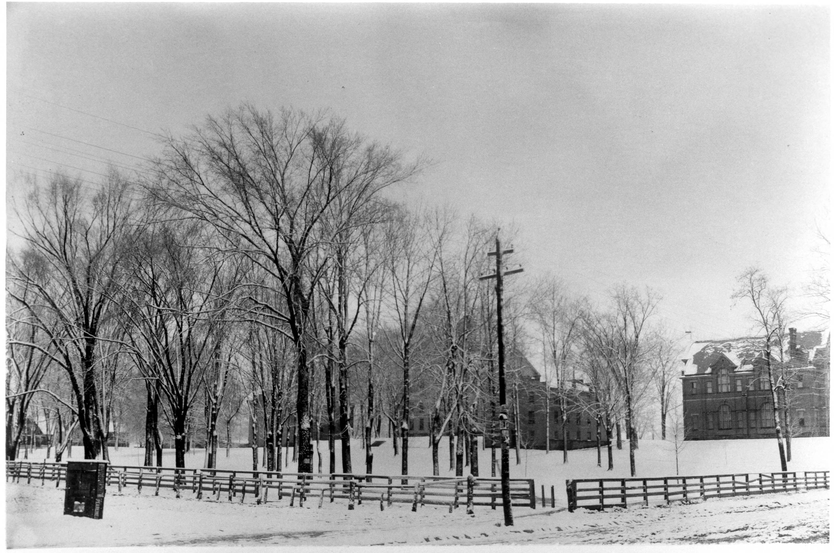 Snowy College Green, 1890's