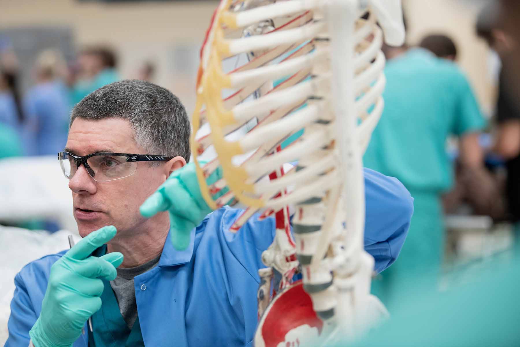 Dr. Witmer highlighting things on a human skeleton in a lab setting.