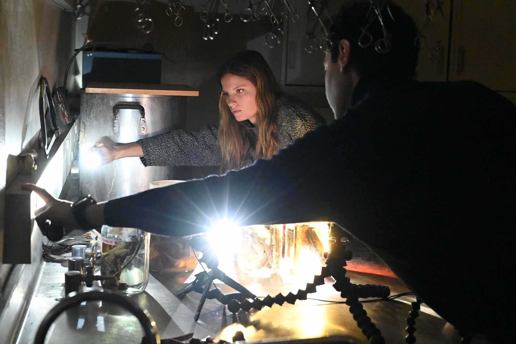 The lighting is adjusted in Dr. Witmer's laboratory so that dynamic photographs may be taken