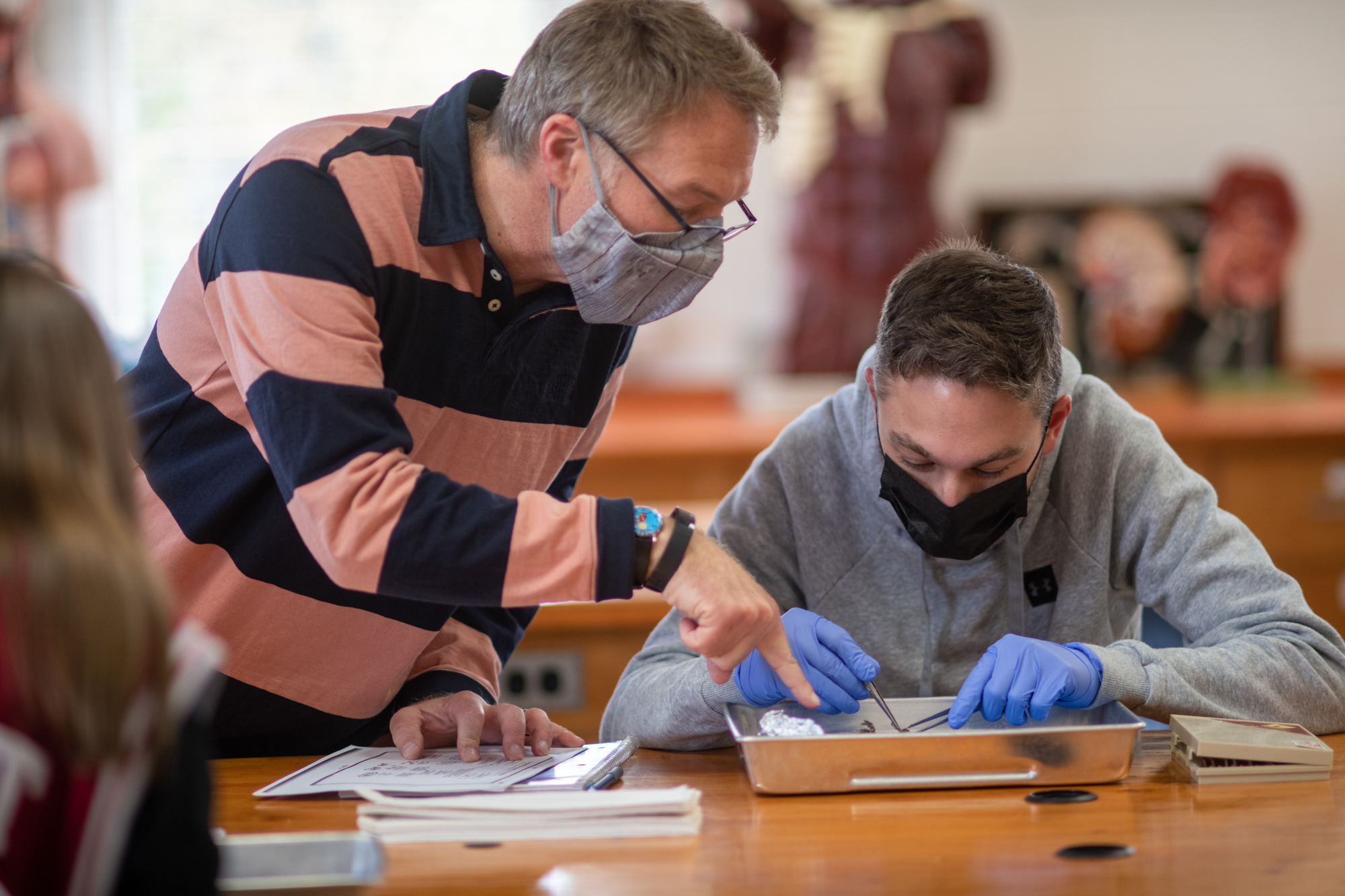 A professor gives guidance to a student while conducting a small animal dissection