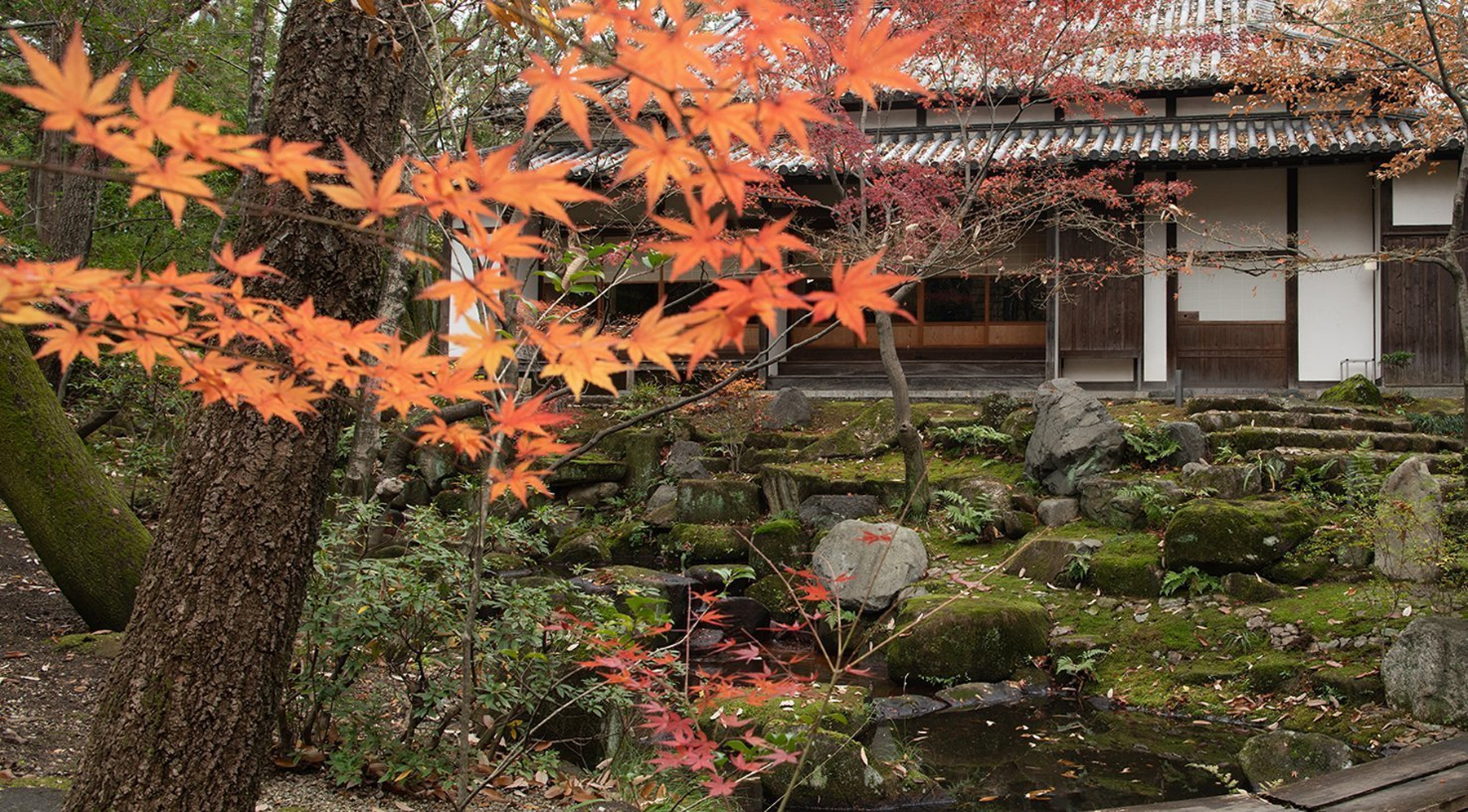 Japanese-style house with rock garden and maple trees in the fall