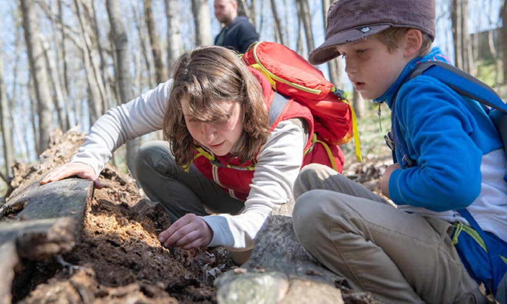 a women and a child examining a log in the woods. she is wearing a red back pack