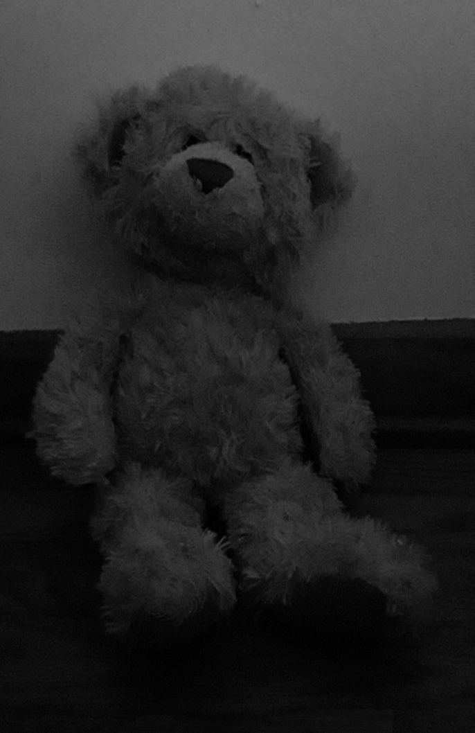 teddy bear with darkened lighting