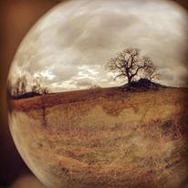 fall field with barren tree seen through round lens 