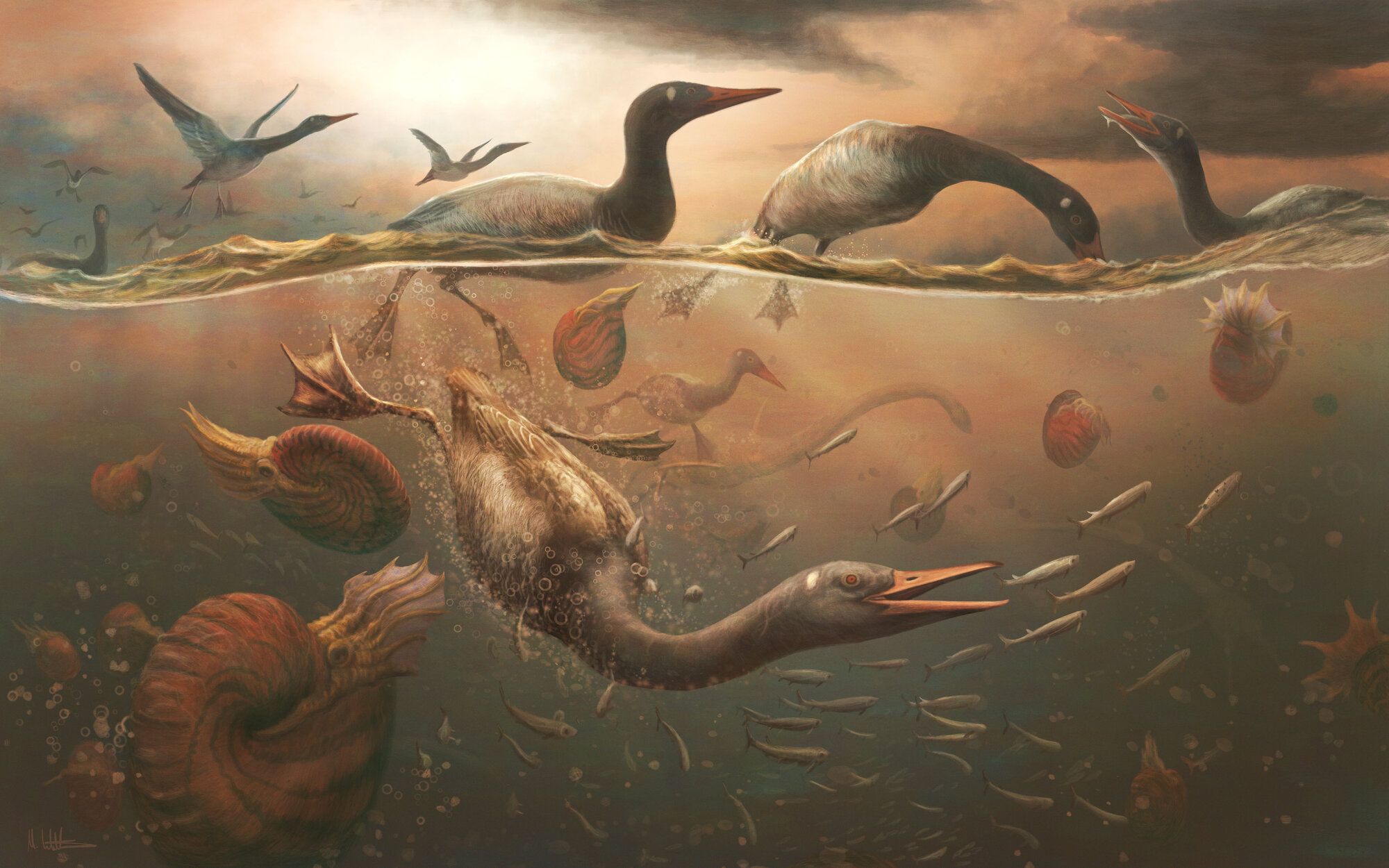Cretaceous fossil from Antarctica reveals earliest modern bird
