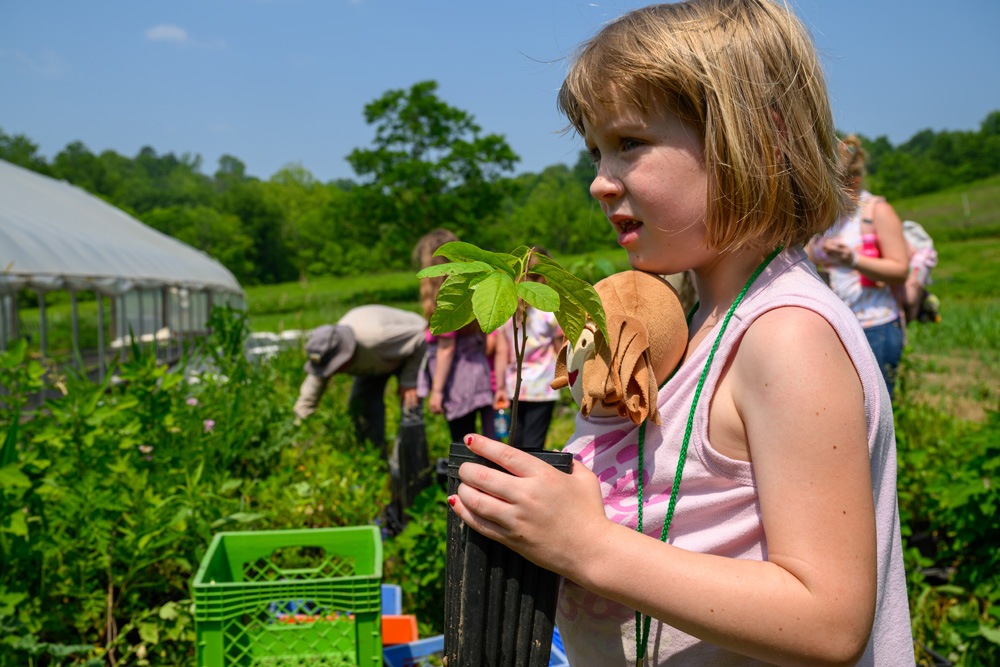 A camper holding a plant