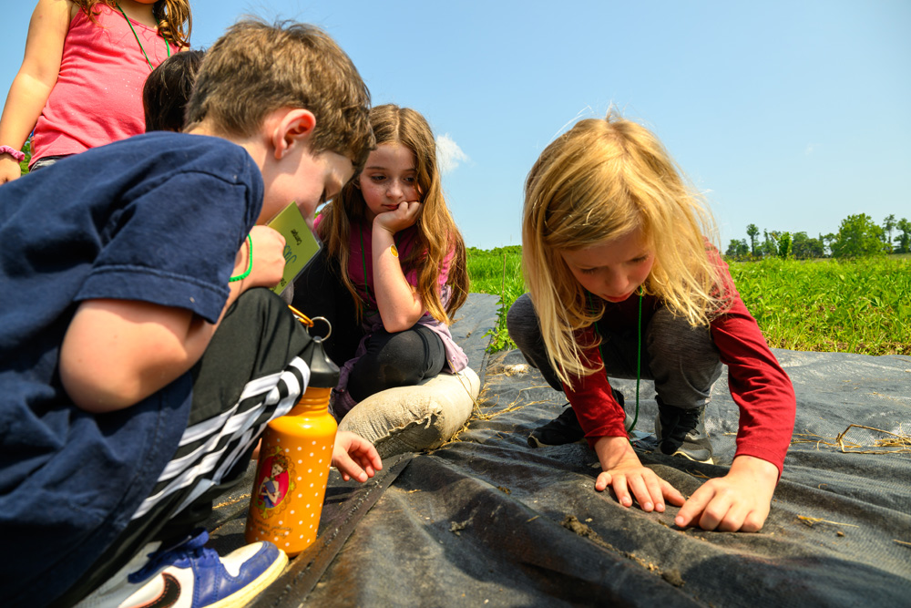 Campers looking through dirt