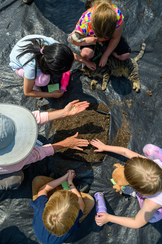 Campers looking through dirt with a counselor 