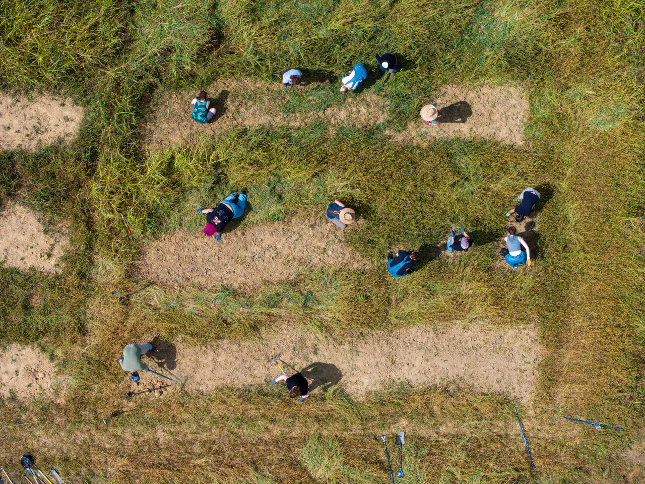 Fiber and Dye Garden