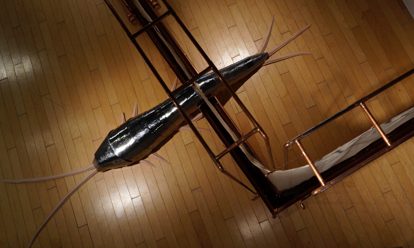 Kakaz Kyom | کاکز کیۆم (Silverfish) 2025