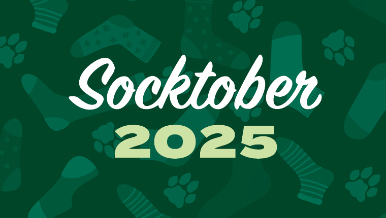 Socktober 2025! Make a donation to the OHIO cause you love and receive a pair of designer socks as a thank you!