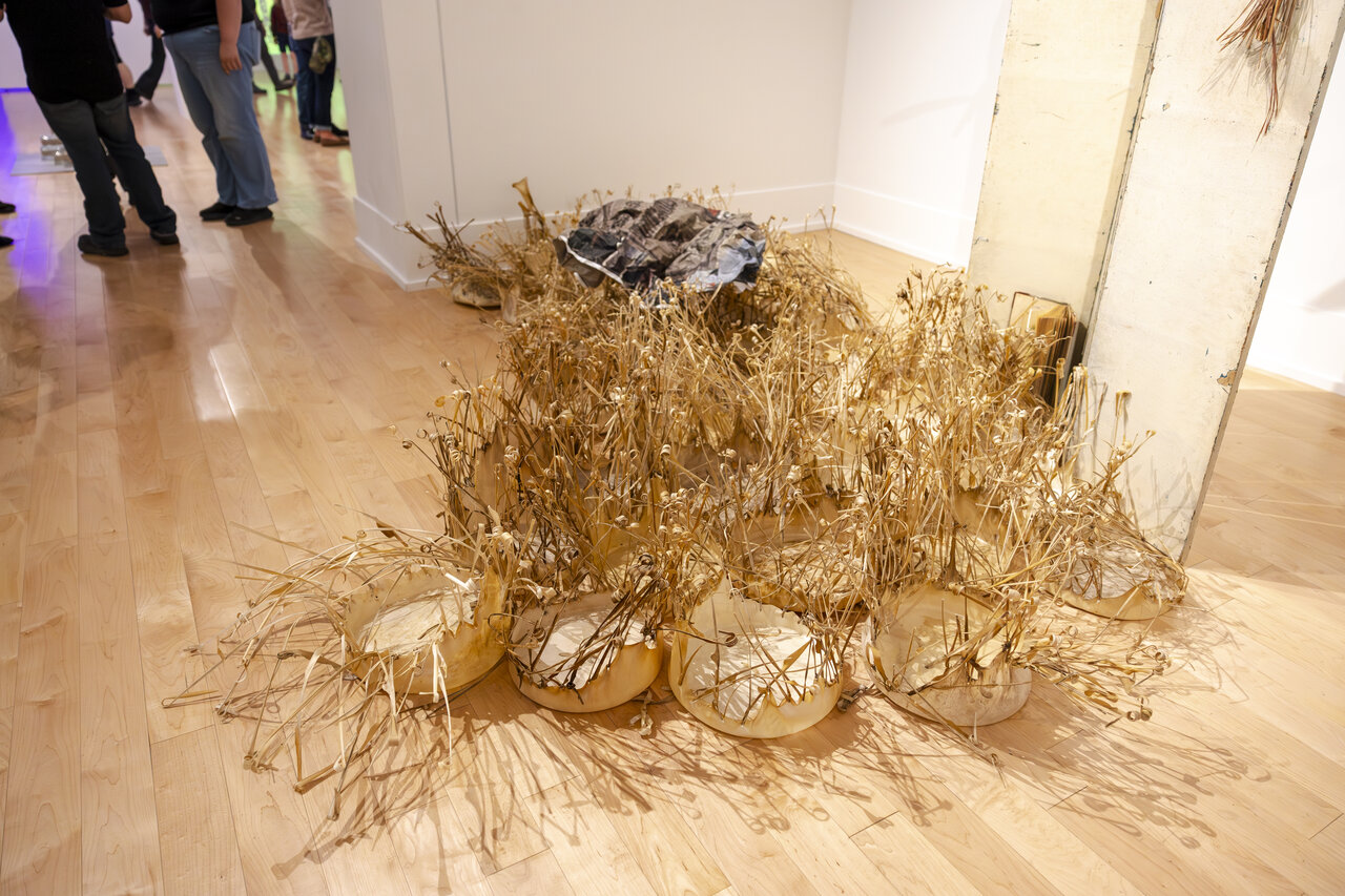 Duane McDiarmid, The Silence of Drums