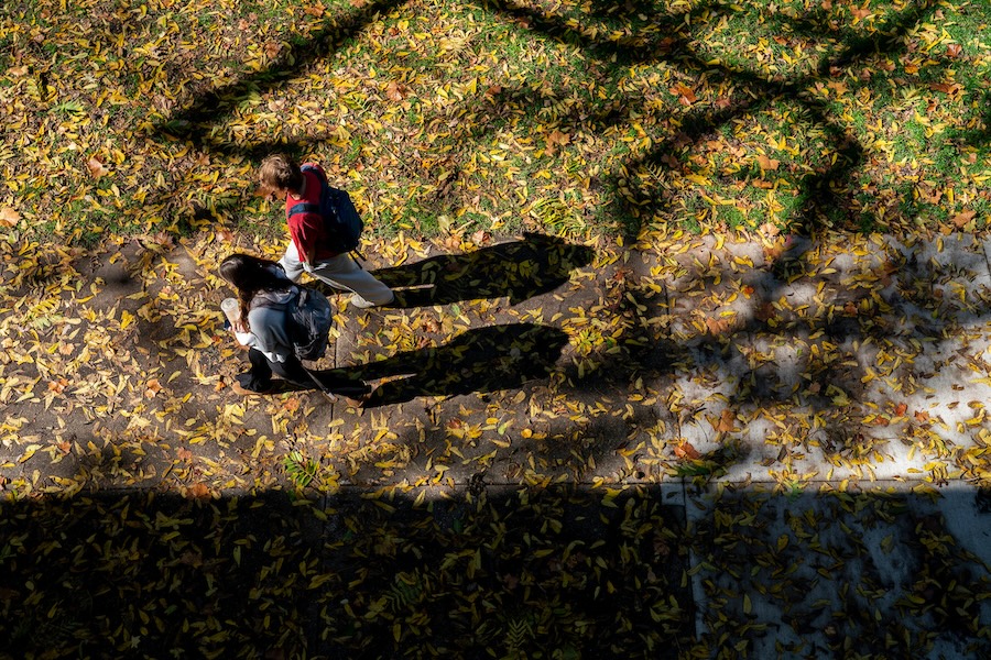 Overhead shot of people walking on campus through autumn leaves