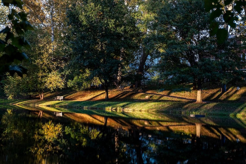 A still pond reflects the trees lining it