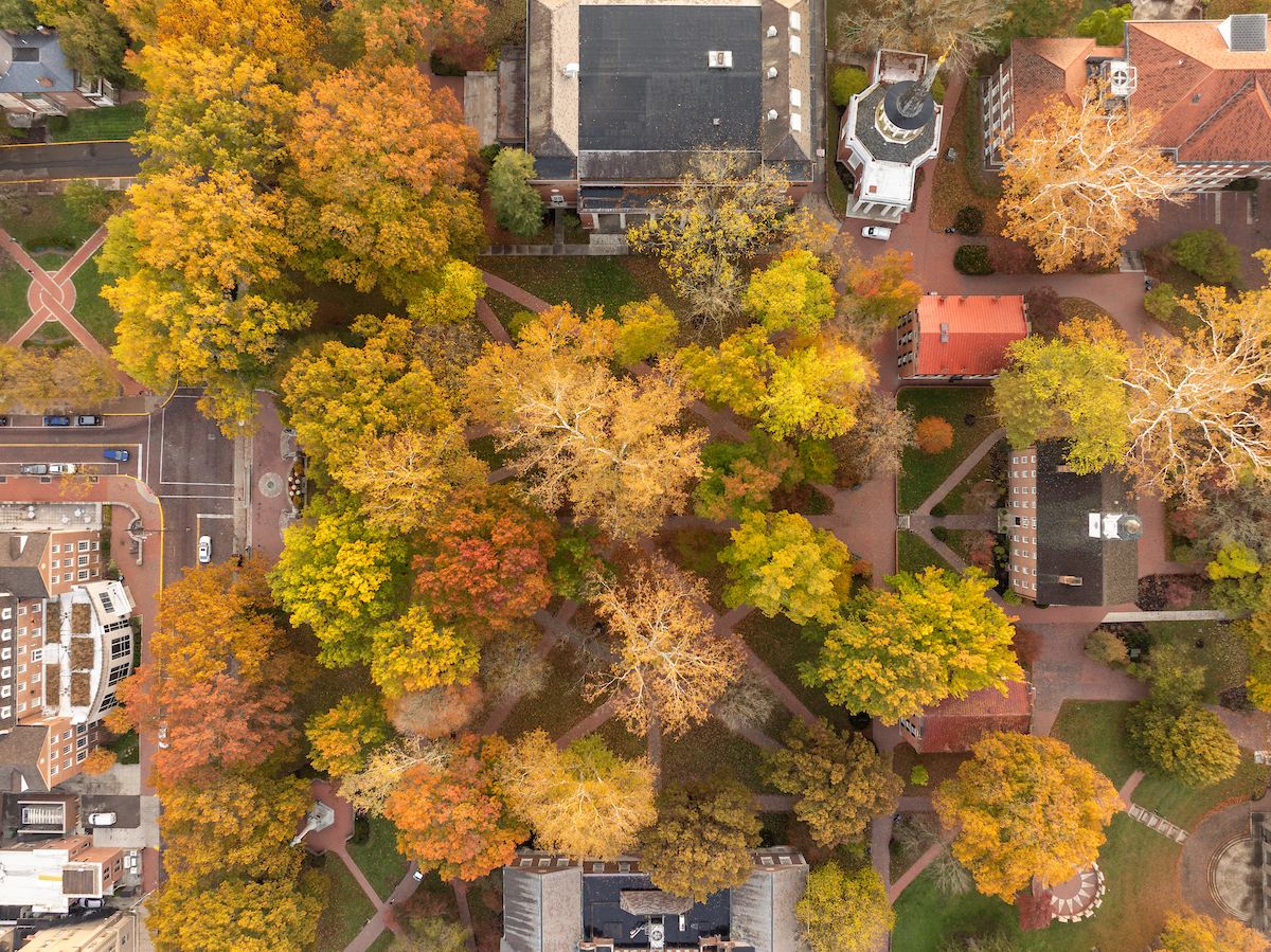 A drone shot of fall trees on OHIO's campus