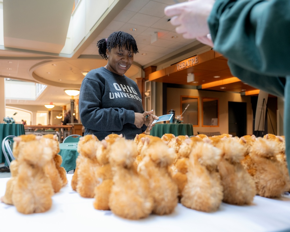 An individual wearing an Ohio University sweatshirt looks over a table filled with stuffed animal squirrels