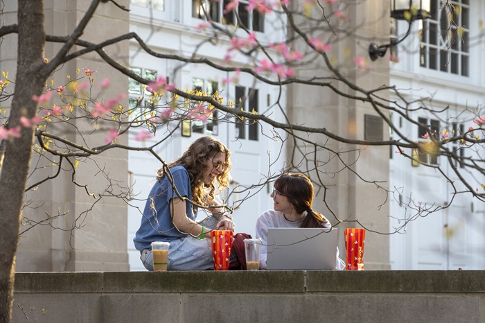 Two students sit outside of Templeton Blackburn Alumni Memorial Auditorium and talk while looking at a laptop computer