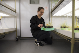 Stacy Welker, a senior studying environmental and plant biology, is the first Cohn Fellow.