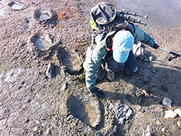 Researchers had to take turns watching for polar bears. There are approximately 3,000 in the area...with really big feet!