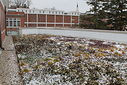 Green Roof at McCracken Hall