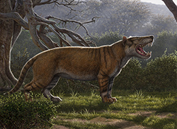Simbakubwa kutokaafrika was a carnivore that lived about 22 million years ago.