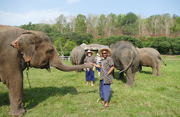 Feeding elephants at the Kanta Elephant Sanctuary