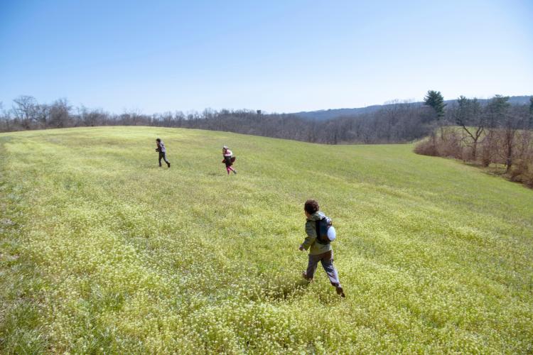Students hike on land on The Ridges.