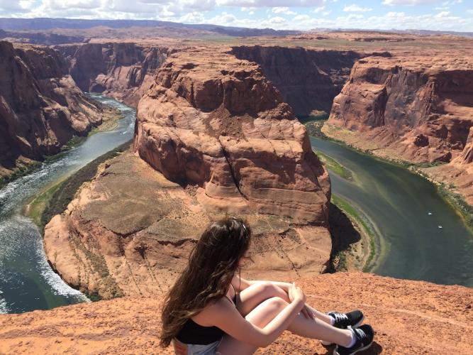 Bobcats Near and Far