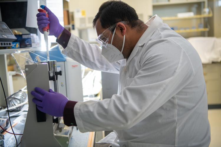 Ismail Hossain works in Hines Lab