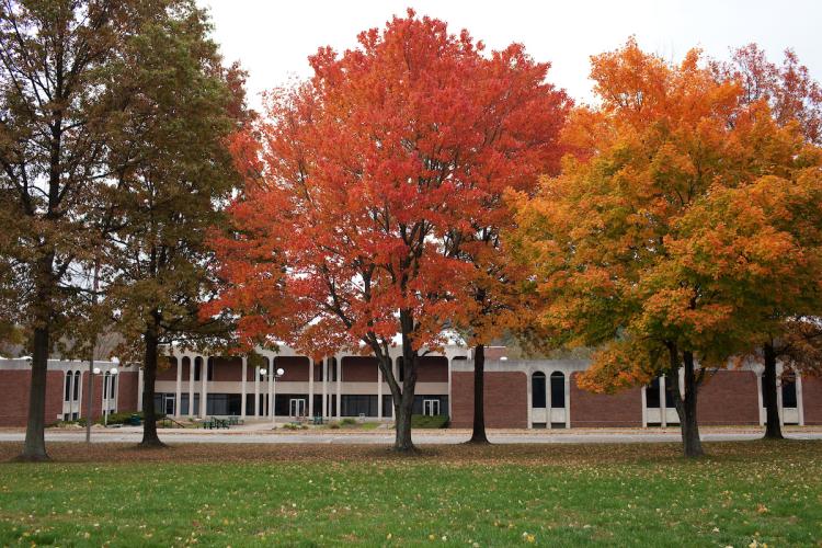 Trees on OHIO Lancaster campus with shades of green, red and yellow leaves