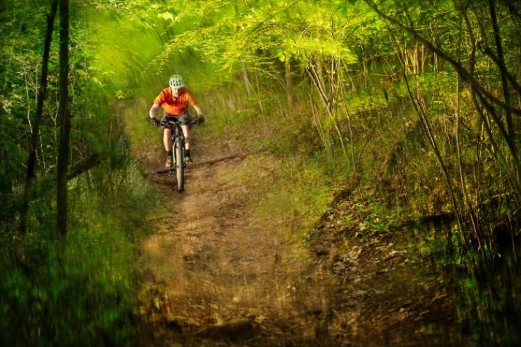 Man rides bike through woods