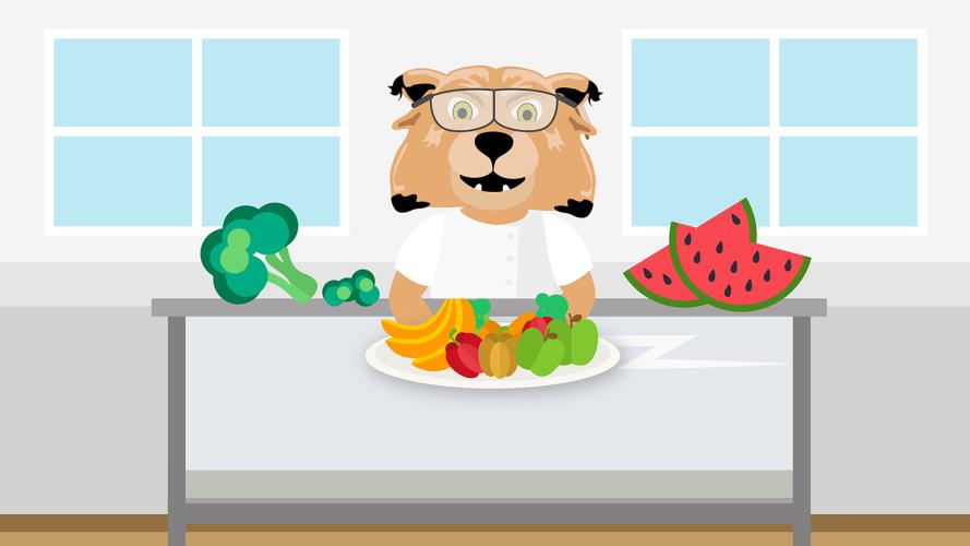 Illustration of Rufus with healthy food options. Masters in nutrition online.