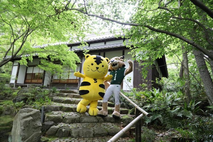 The OHIO and Chubu mascots are shown at Chubu University