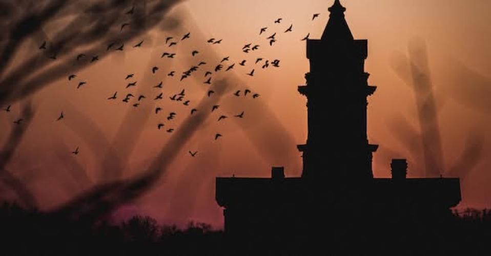 building at dusk surrounded by birds