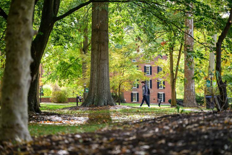 Fall campus beauty header - College green student walking