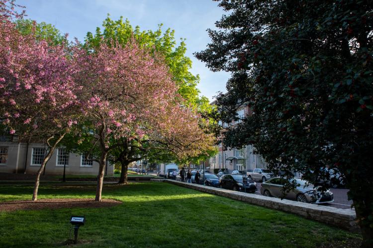 Colorful trees are shown on a spring day on the College Green near Court Street