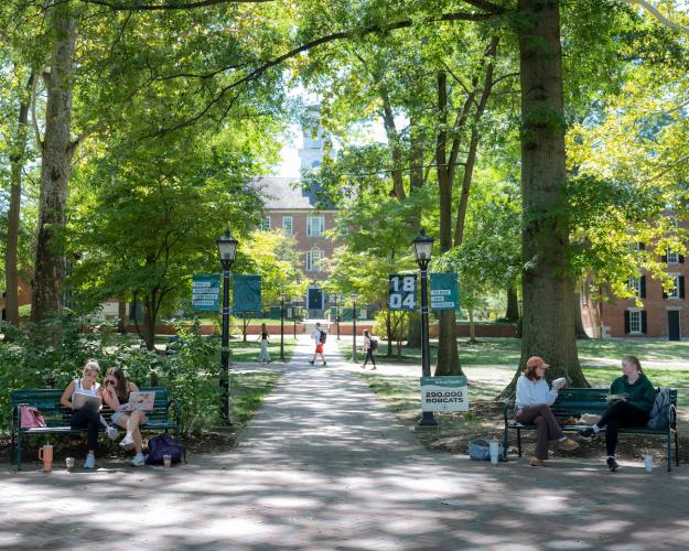 Students sit with one another on benches on the College Green on a warm and sunny day