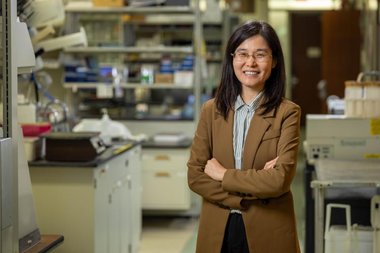 Posed portrait of Shaohua Wang, Ph.D., assistant professor of medical microbiology at the Ohio University Heritage College of Osteopathic Medicine