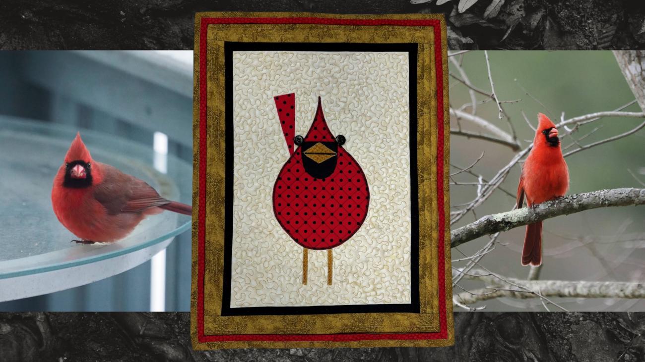 Images of 3 red birds