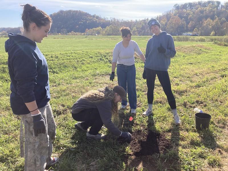 OHIO students are shown planting a small tree