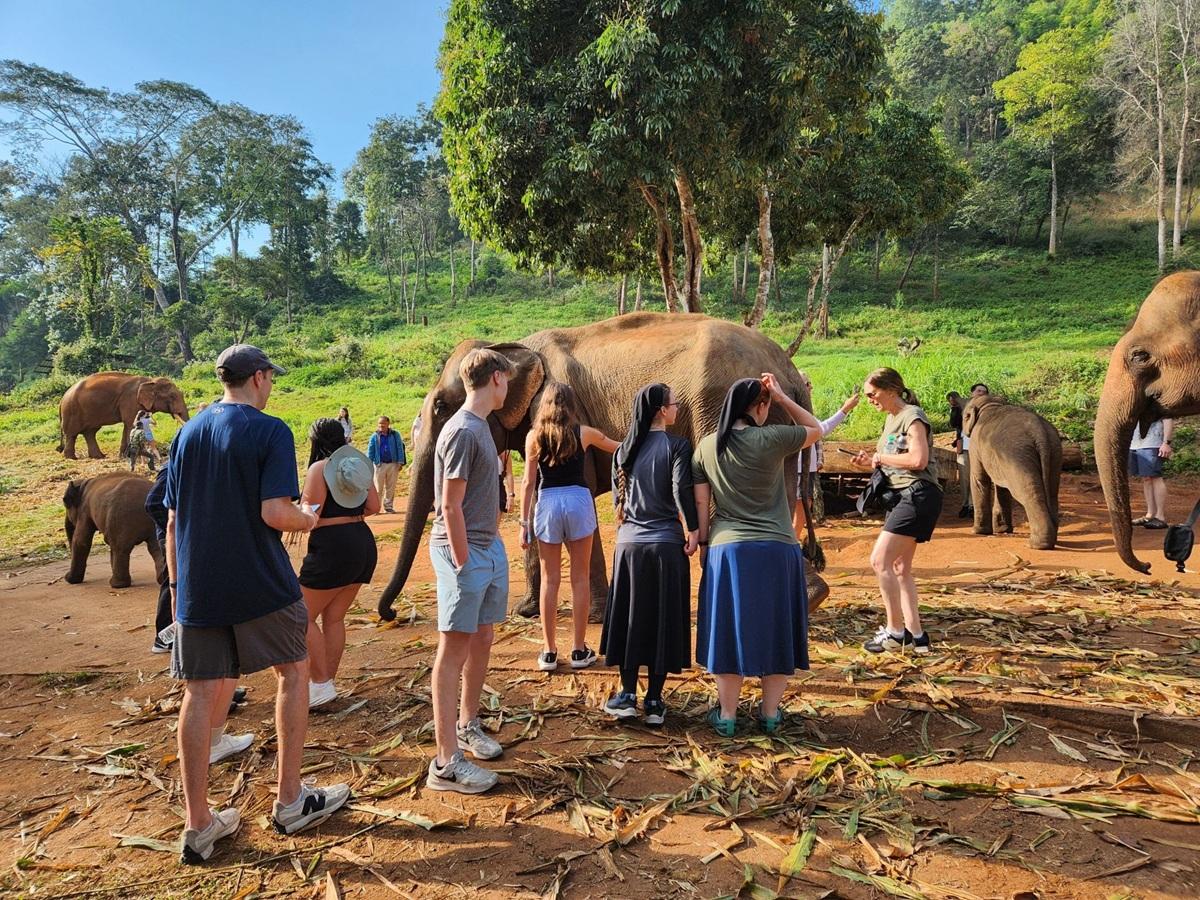 OHIO students are shown with elephants at an elephant sanctuary in Thailand