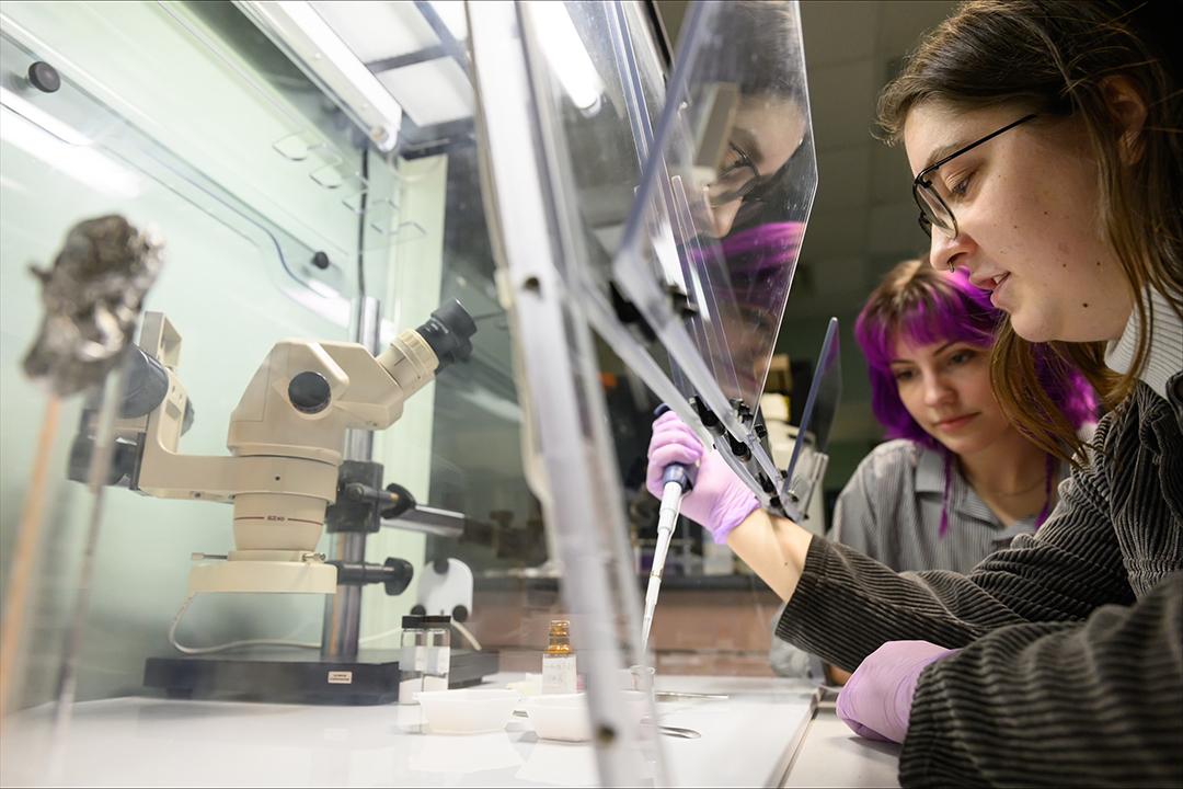 Fogwell, foreground, and Gavin, background, refine their experiment in a laboratory setting.