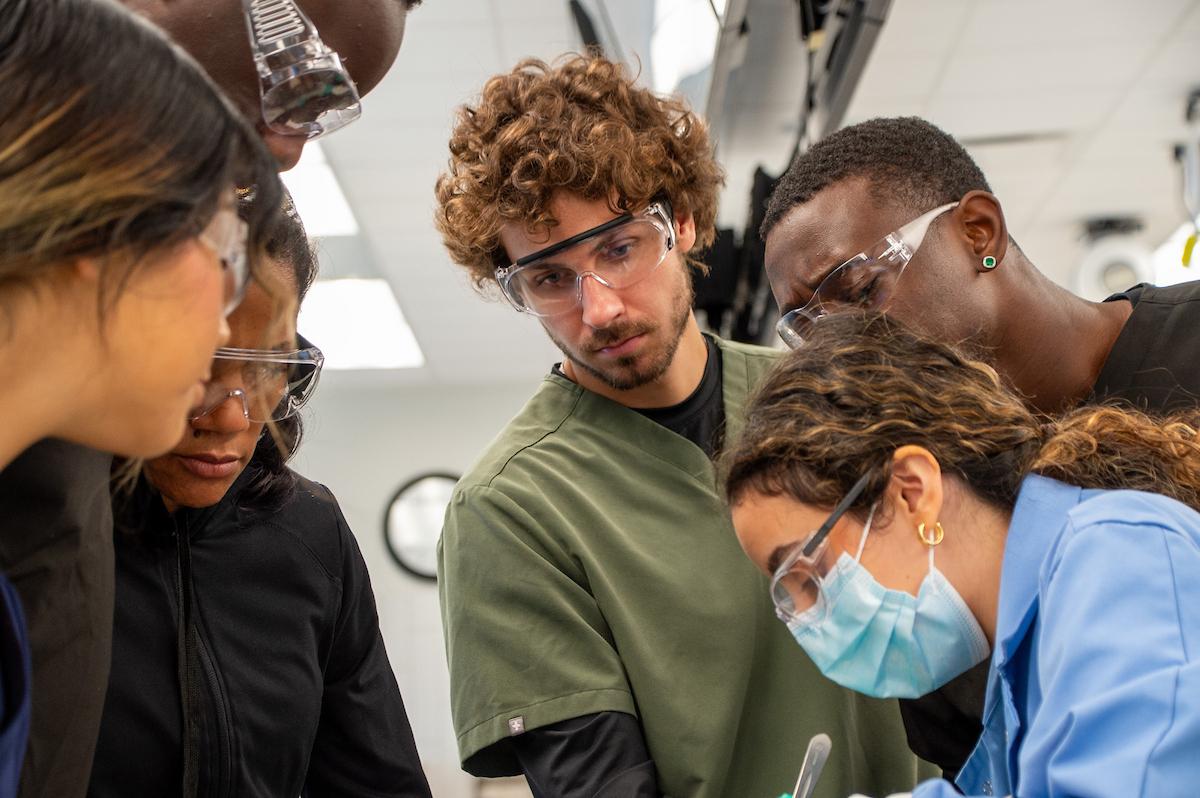 Summer Scholars students work in the anatomy lab